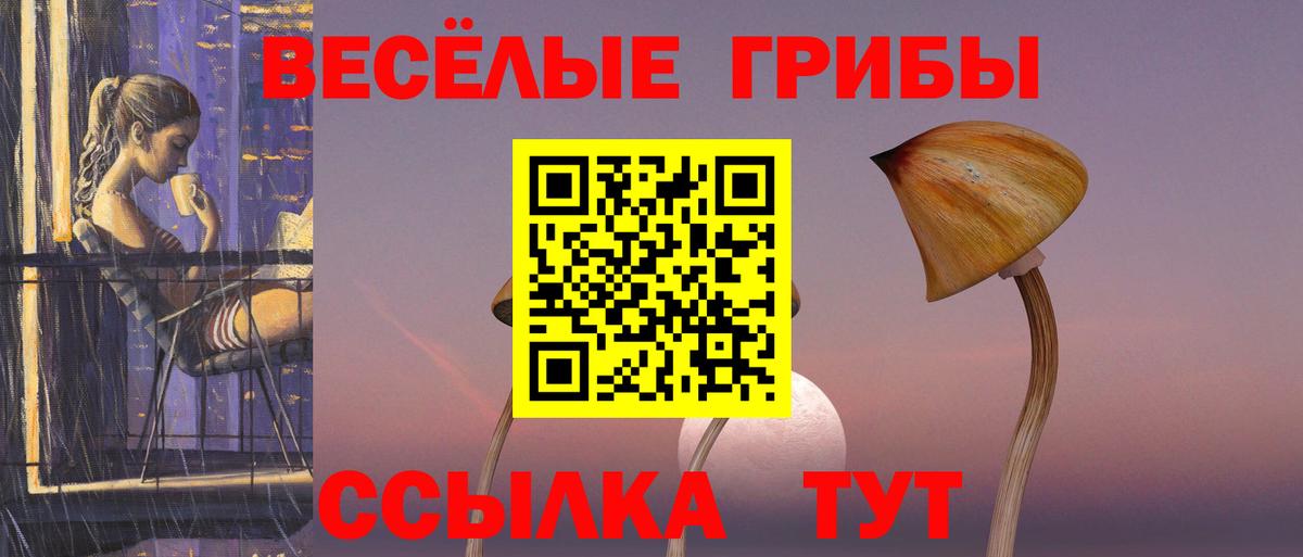 Псилоцибиновые грибы Psilocybe  Псилоцибиновые грибы Psilocybe  Вход с VPN  Михайловка 