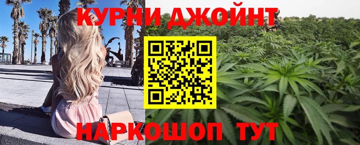 Марихуана сатива Михайловка